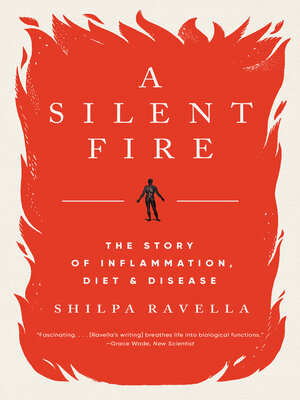 cover image of A Silent Fire